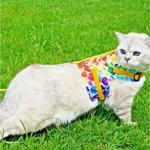 PATIPATRON Cat Harness and Leash Set Cats Escape Proof Adjustable Size M